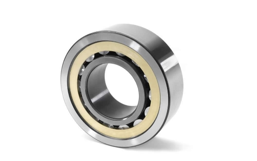 NF100 Cylindrical Roller Bearings