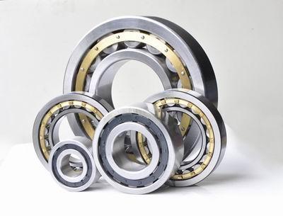 NF300 Cylindrical Roller Bearings